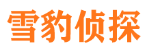 望江侦探公司